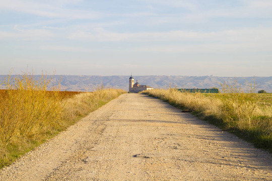 農(nóng)業(yè)領(lǐng)域