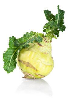 Kohlrabi白菜