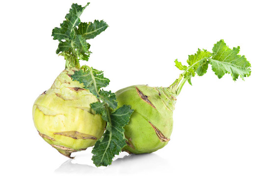 Kohlrabi白菜