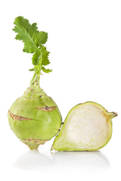Kohlrabi白菜
