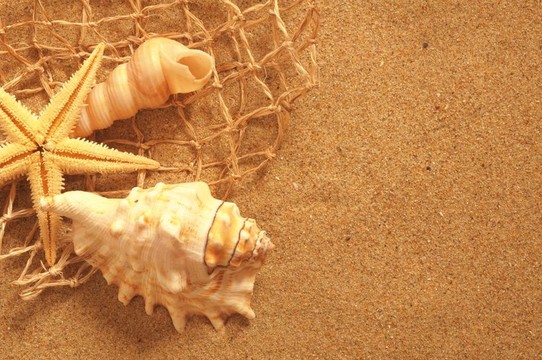 度假概念