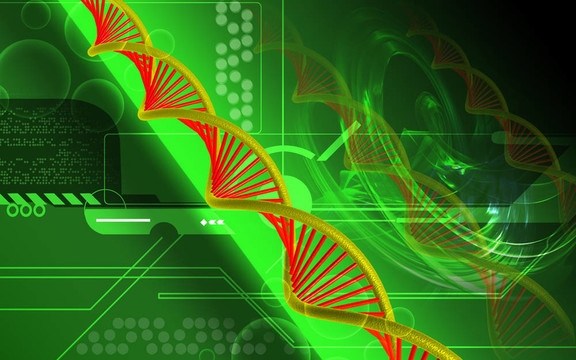 DNA