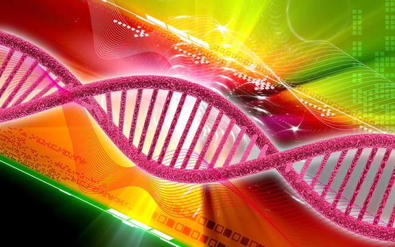 DNA