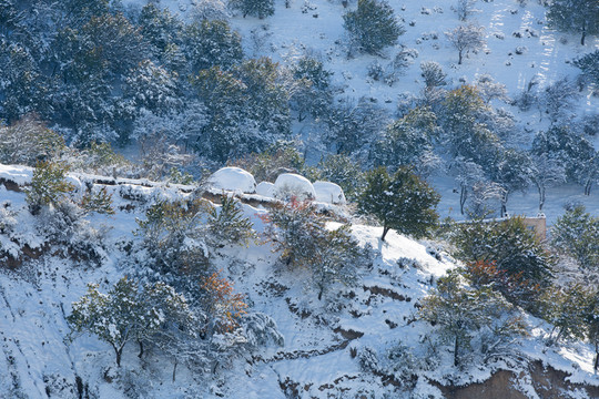 雪景