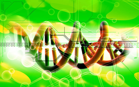 DNA