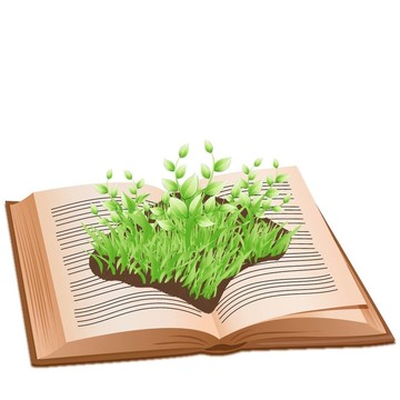 打開書上的草