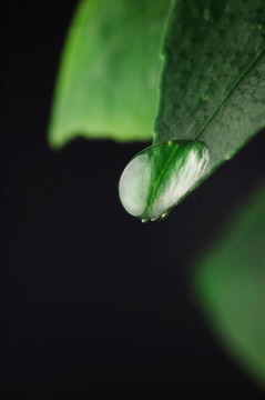 干凈的水。