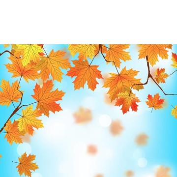 紅色和黃色的葉子在藍sky.eps 8
