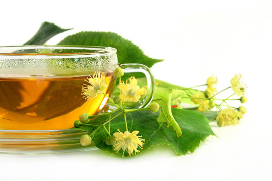 椴花茶