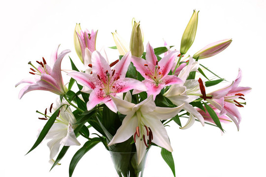 花