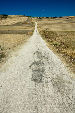 沙漠公路