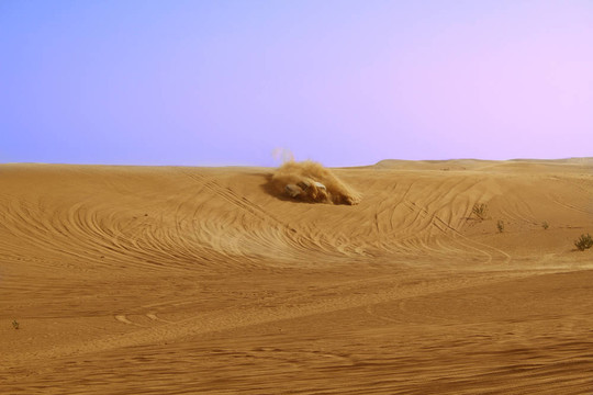 Sahara沙漠