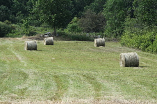 Hay Bales（圓）