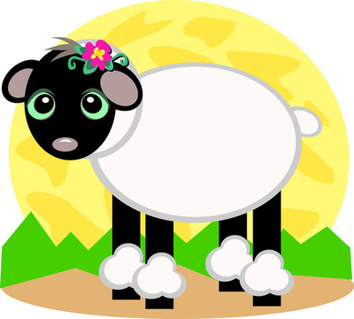 Black Sheep與白羊毛