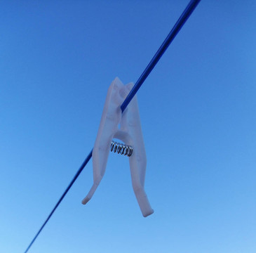 White Peg洗滌線
