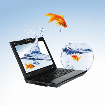 筆記本屏幕上的金魚