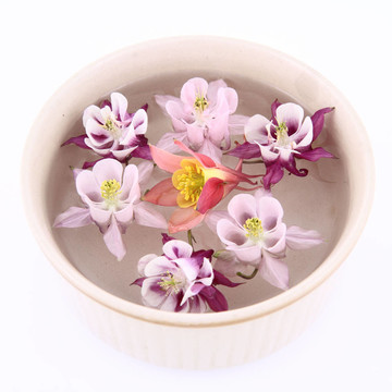 科倫漂浮的花