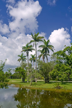 仙童熱帶植物園；FL