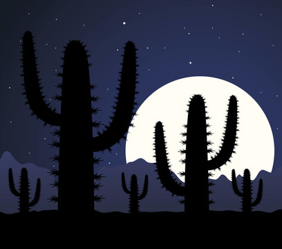 夜晚在沙漠里的仙人掌