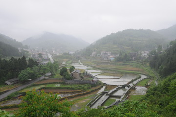 雨霧田園