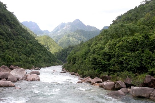 武夷山