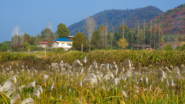 秋天風(fēng)景