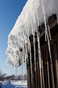 icycles