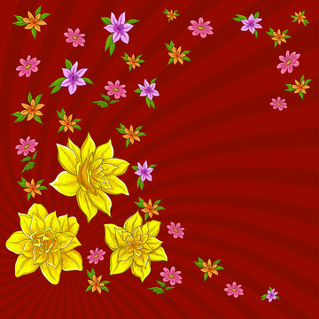 Flowers。水仙在紅色背景；