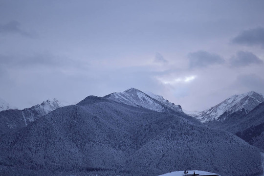 山