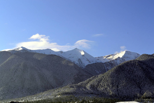 山