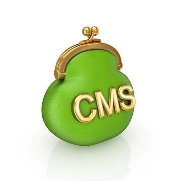 CMS的概念。