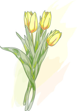 黃色郁金香花束。水彩畫風(fēng)格。