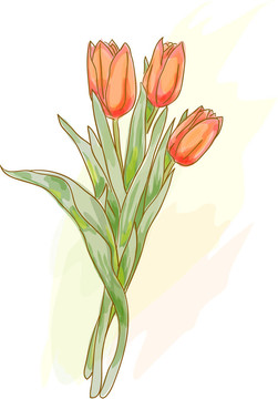 紅色郁金香花束。水彩畫(huà)風(fēng)格。