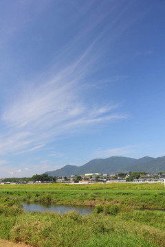 河流景觀