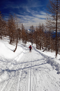 女人雪鞋降