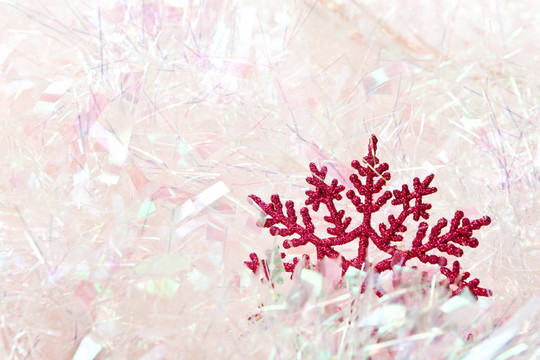雪花在閃亮