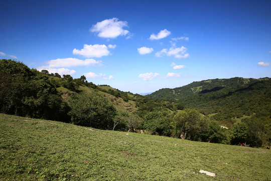 關山牧場