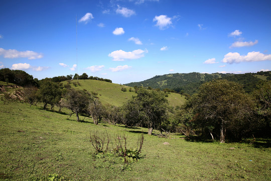 關(guān)山牧場