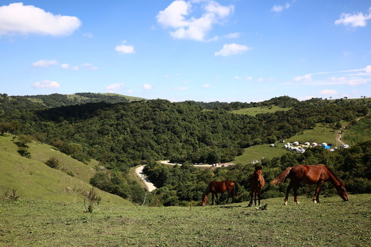 關(guān)山牧場(chǎng)