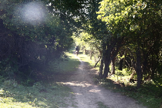 關(guān)山牧場