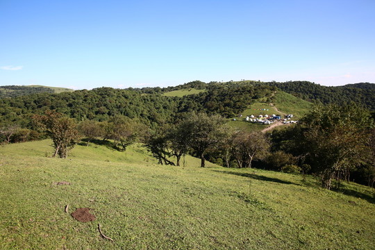 關(guān)山牧場