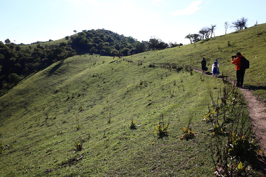 關(guān)山牧場