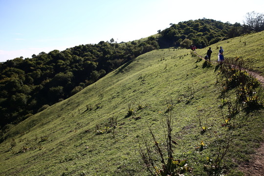 關山牧場