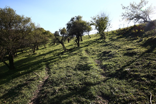 關(guān)山牧場(chǎng)