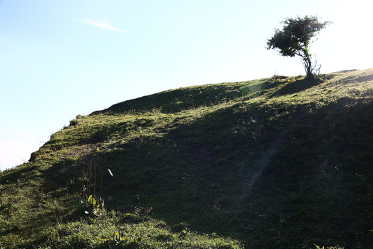 關(guān)山牧場