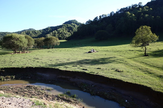 關(guān)山牧場