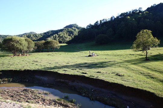 關(guān)山牧場(chǎng)
