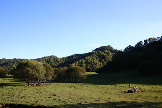 關(guān)山牧場(chǎng)