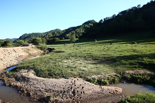 關(guān)山牧場
