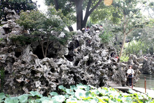 蘇州獅子林風(fēng)光
